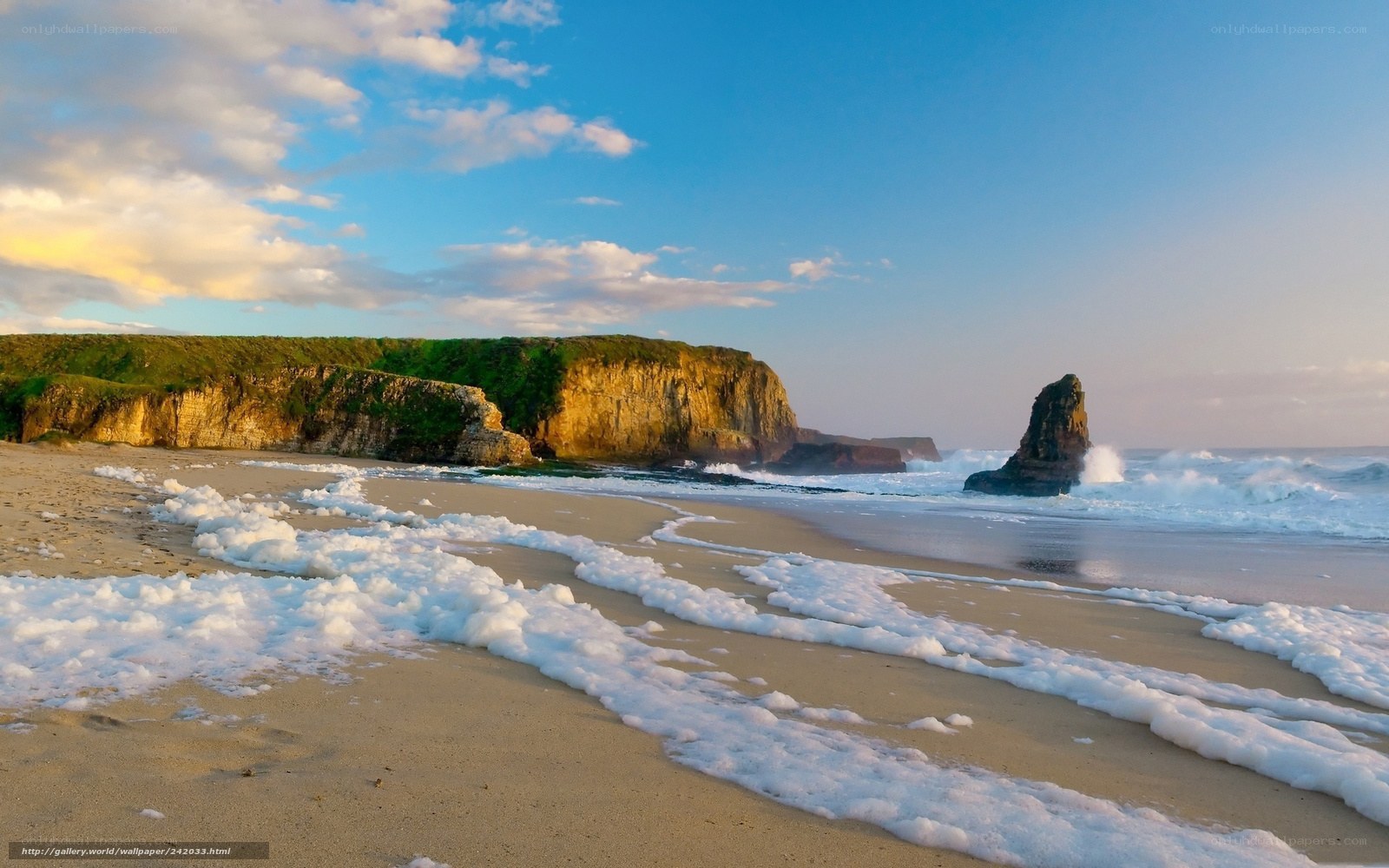Beach with sea foam and cliffs