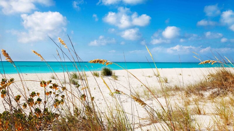 Beach with Sea Grass