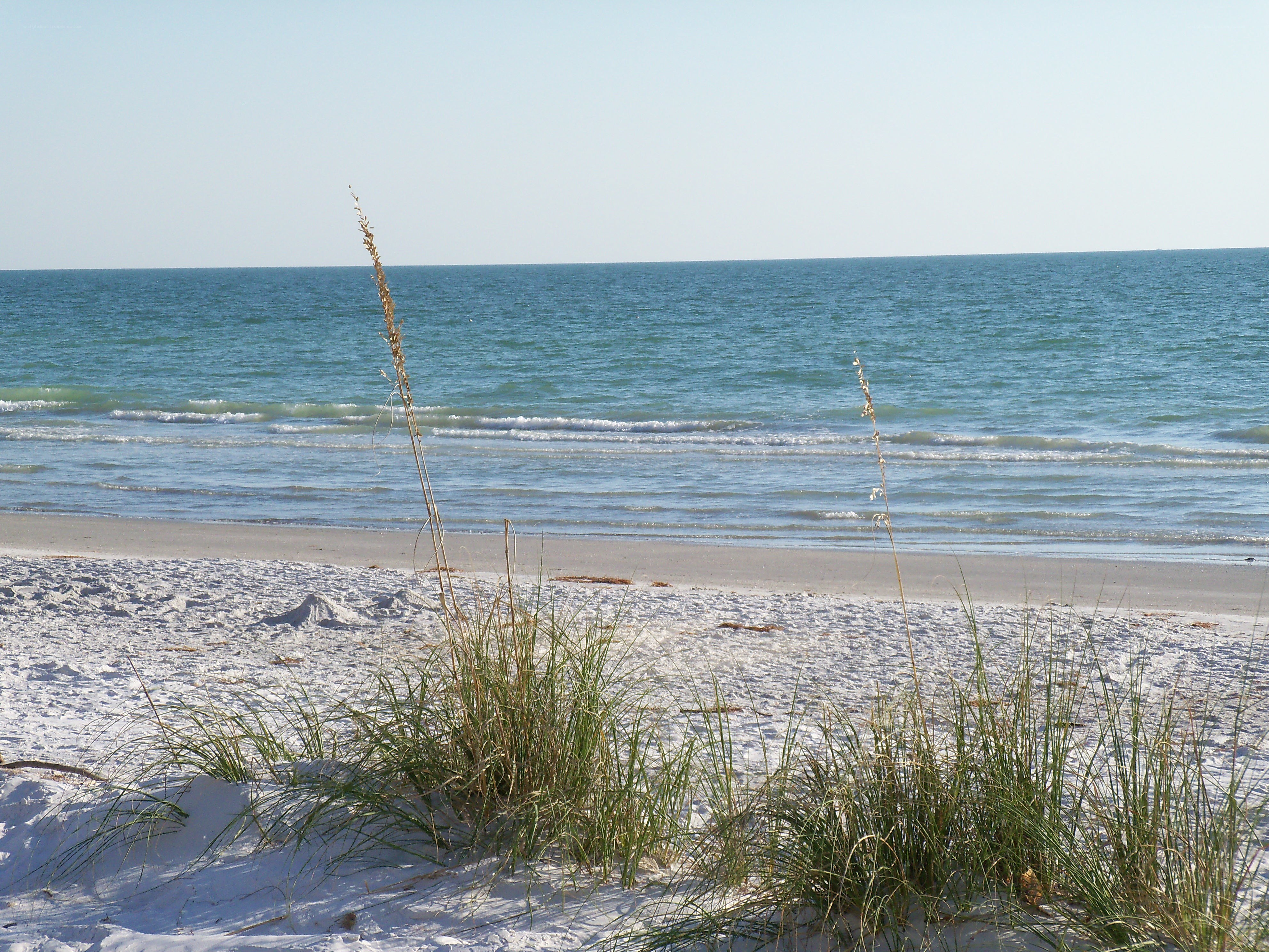 beach with sea oats