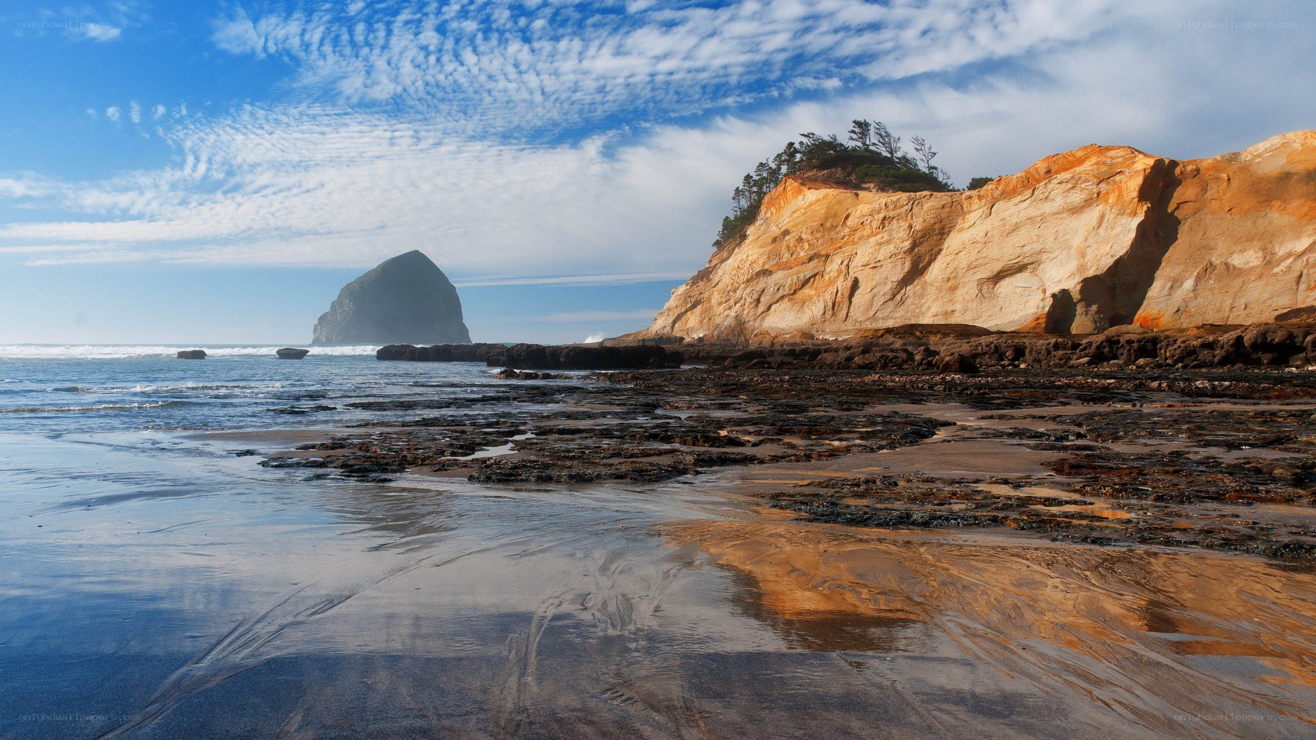 beach with sea stack and cliffs