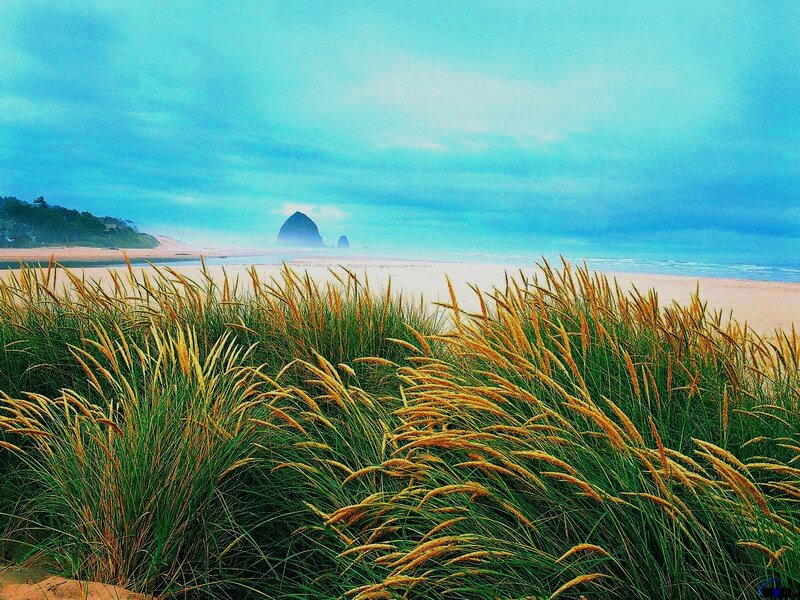 Beach with sea stack and dunes