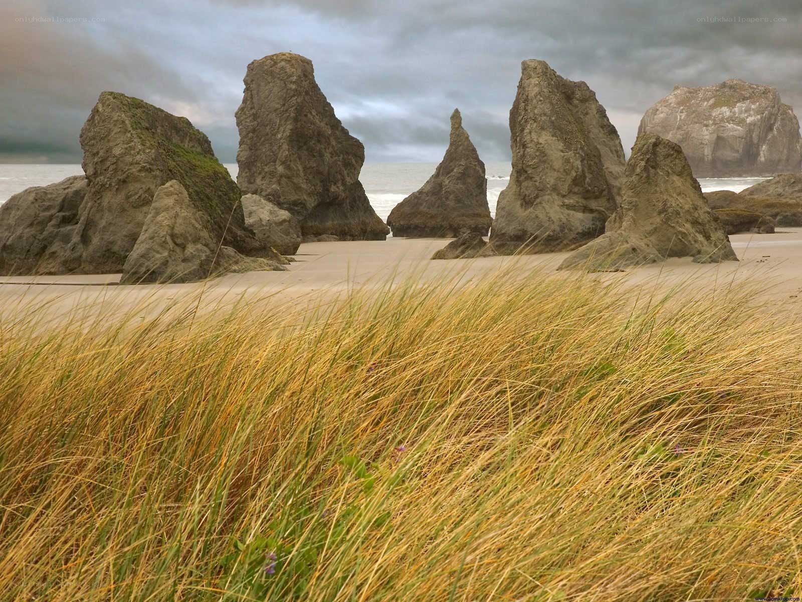 Beach with sea stacks