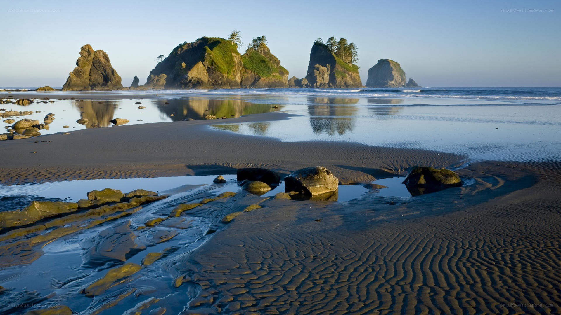 beach with sea stacks at low tide