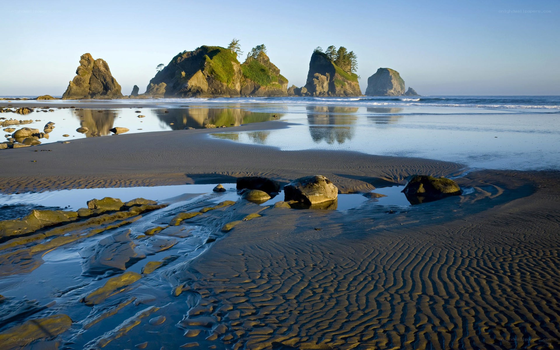 beach with sea stacks at low tide