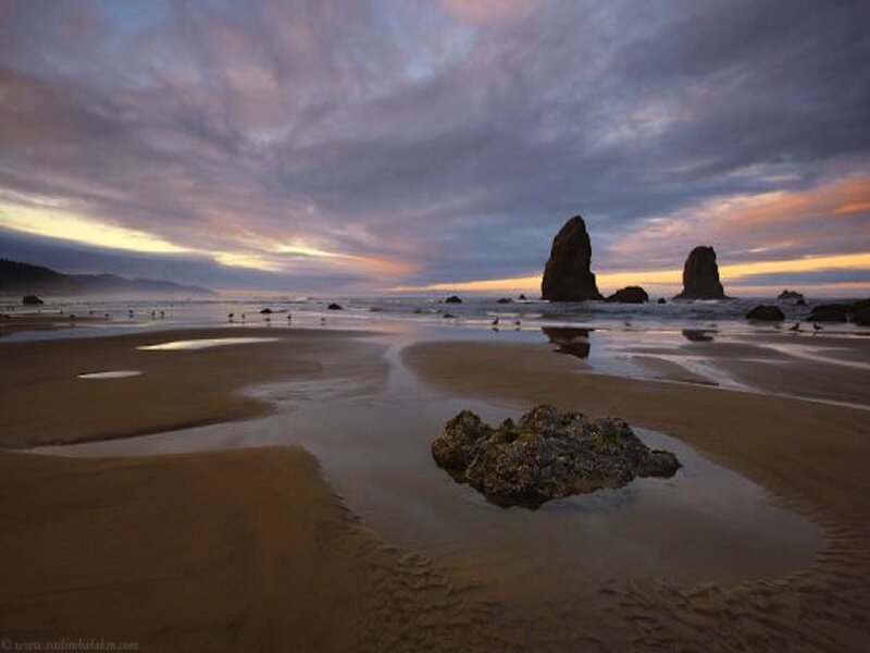Beach with Sea Stacks — Brown