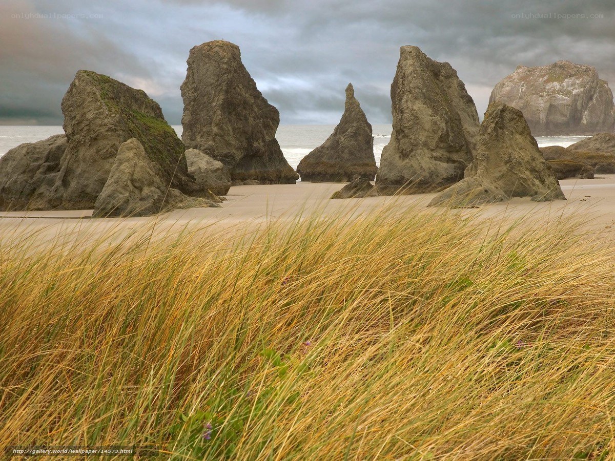 Beach with sea stacks