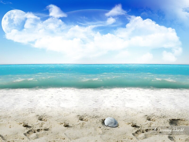 Beach with seashell and moon