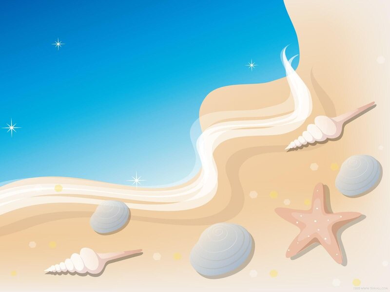 beach with seashells and starfish