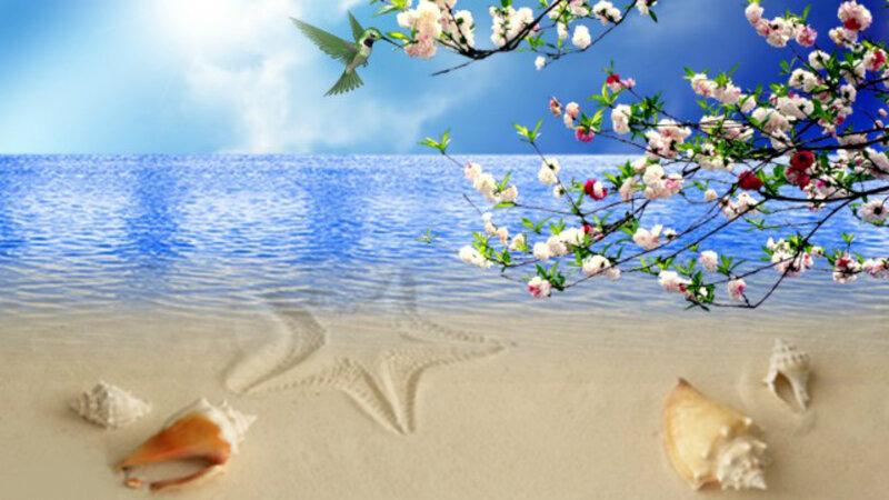 Beach with Seashells — Blue, Serene, Afternoon