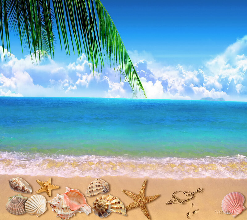 Beach with Seashells — Blue, Serene