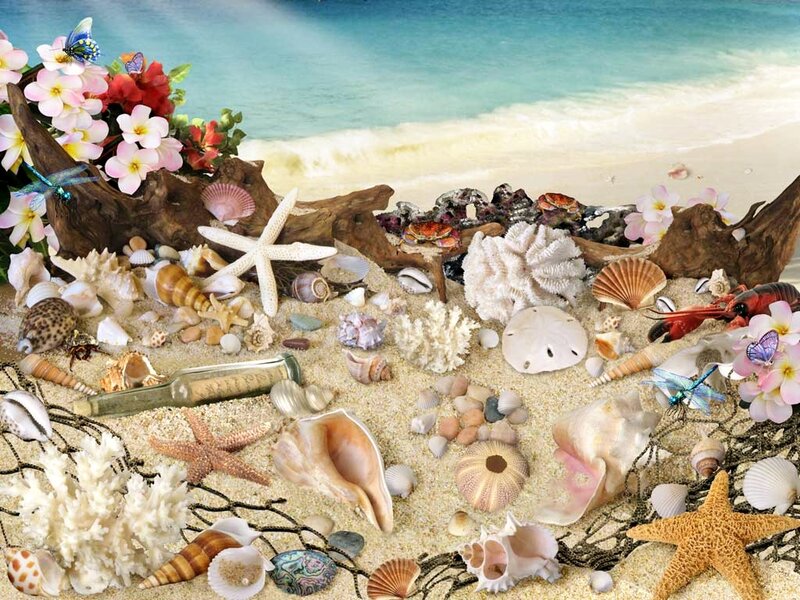 Beach with Seashells — Blue