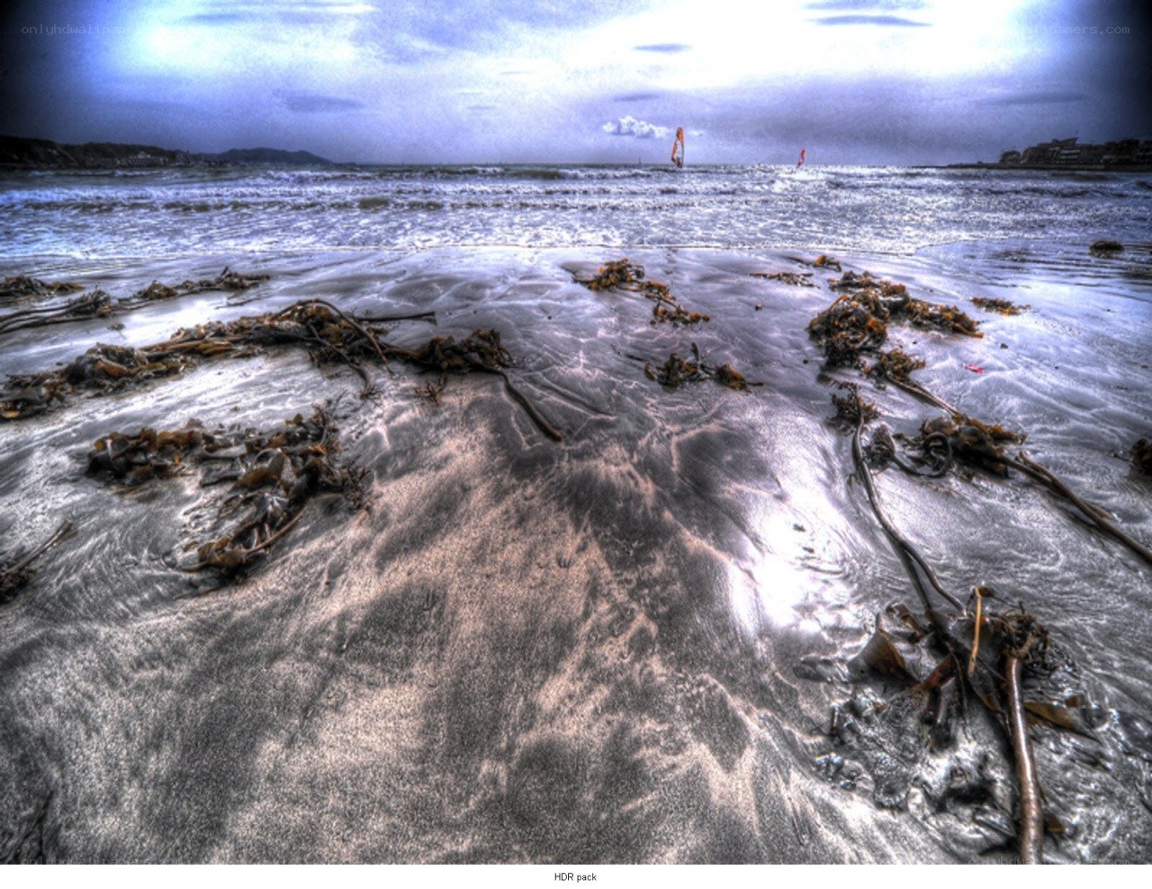 beach with seaweed and windsurfers