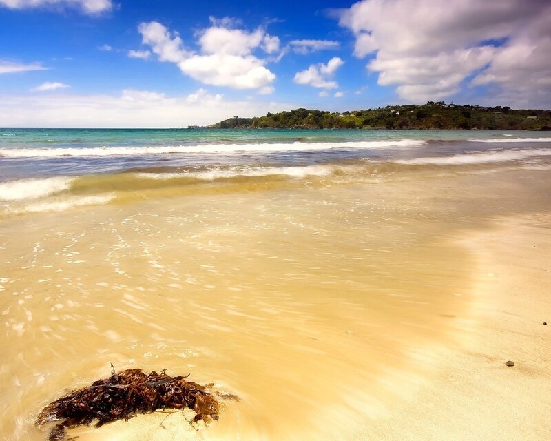Beach with Seaweed — Blue, Serene, Afternoon, Photograph, Waves, Island