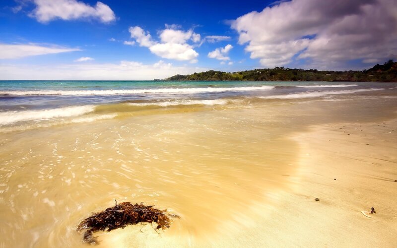 Beach with Seaweed — Blue, Serene, Afternoon