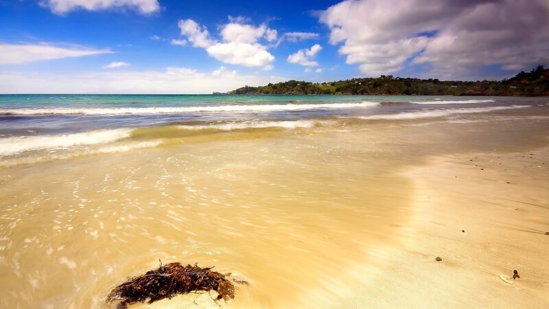 Beach with Seaweed — Blue, Serene