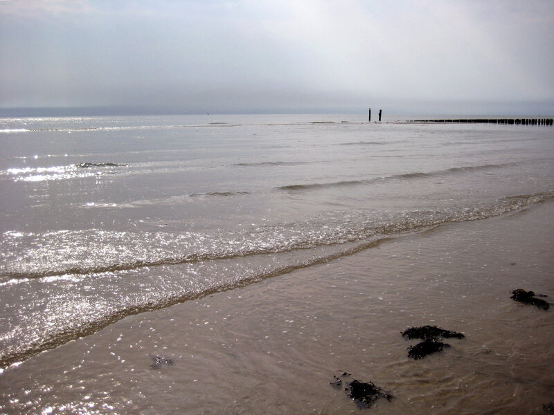 Beach with Seaweed — Gray