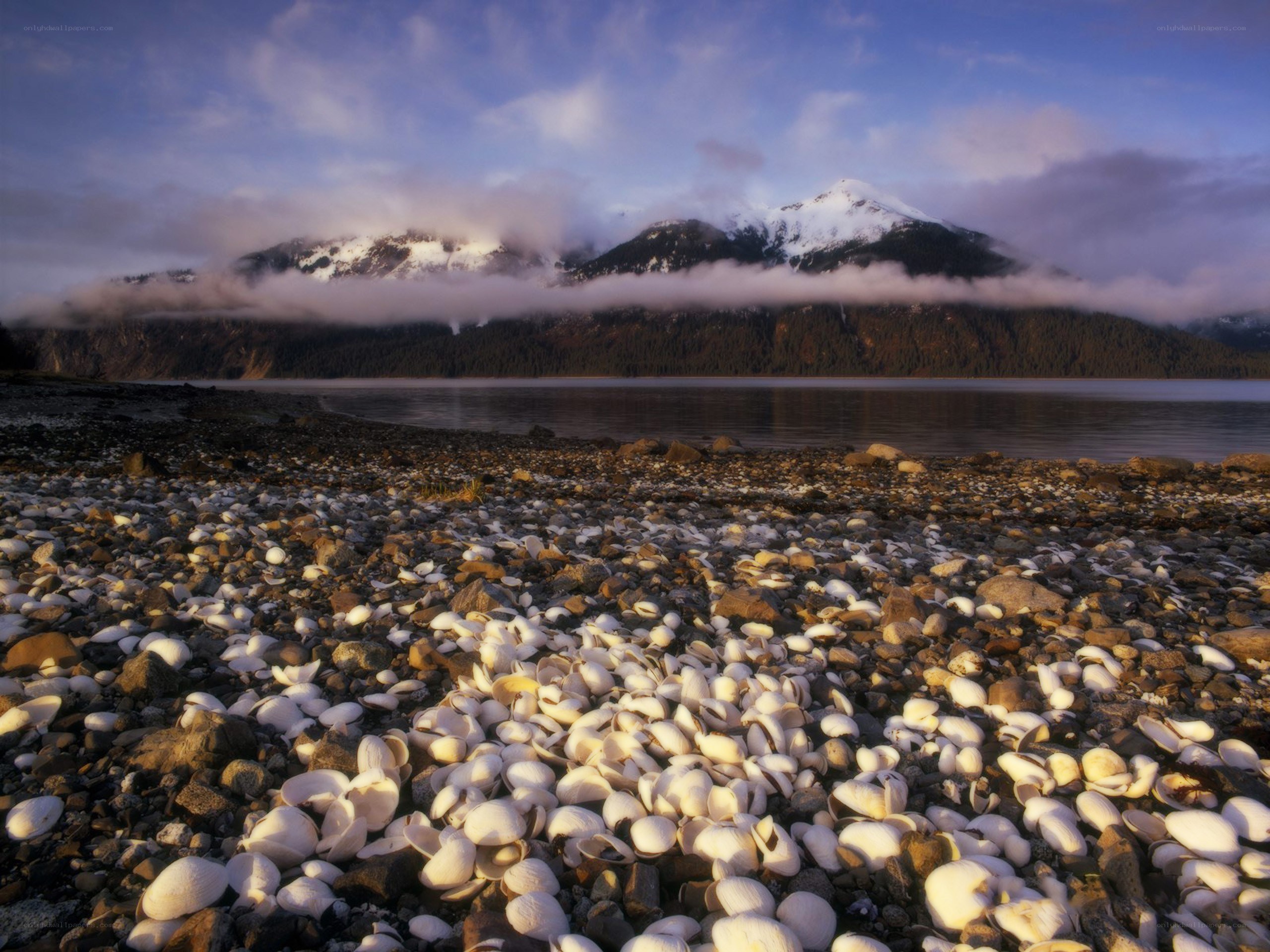 Beach with shells and mountains