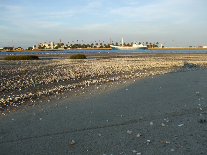 Beach with ship in harbor