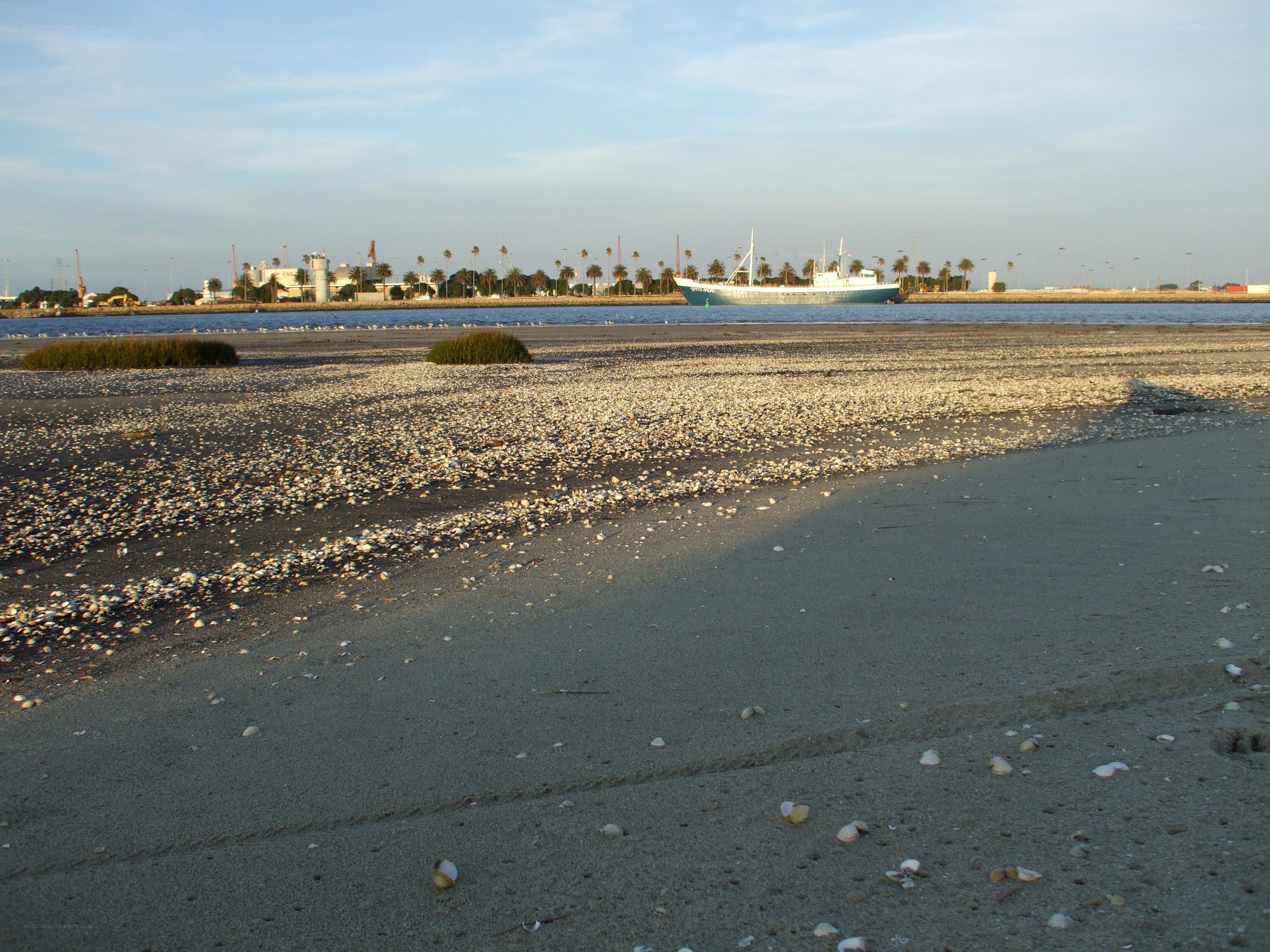 Beach with ship in harbor