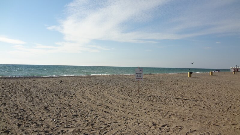 Beach with sign and tire tracks