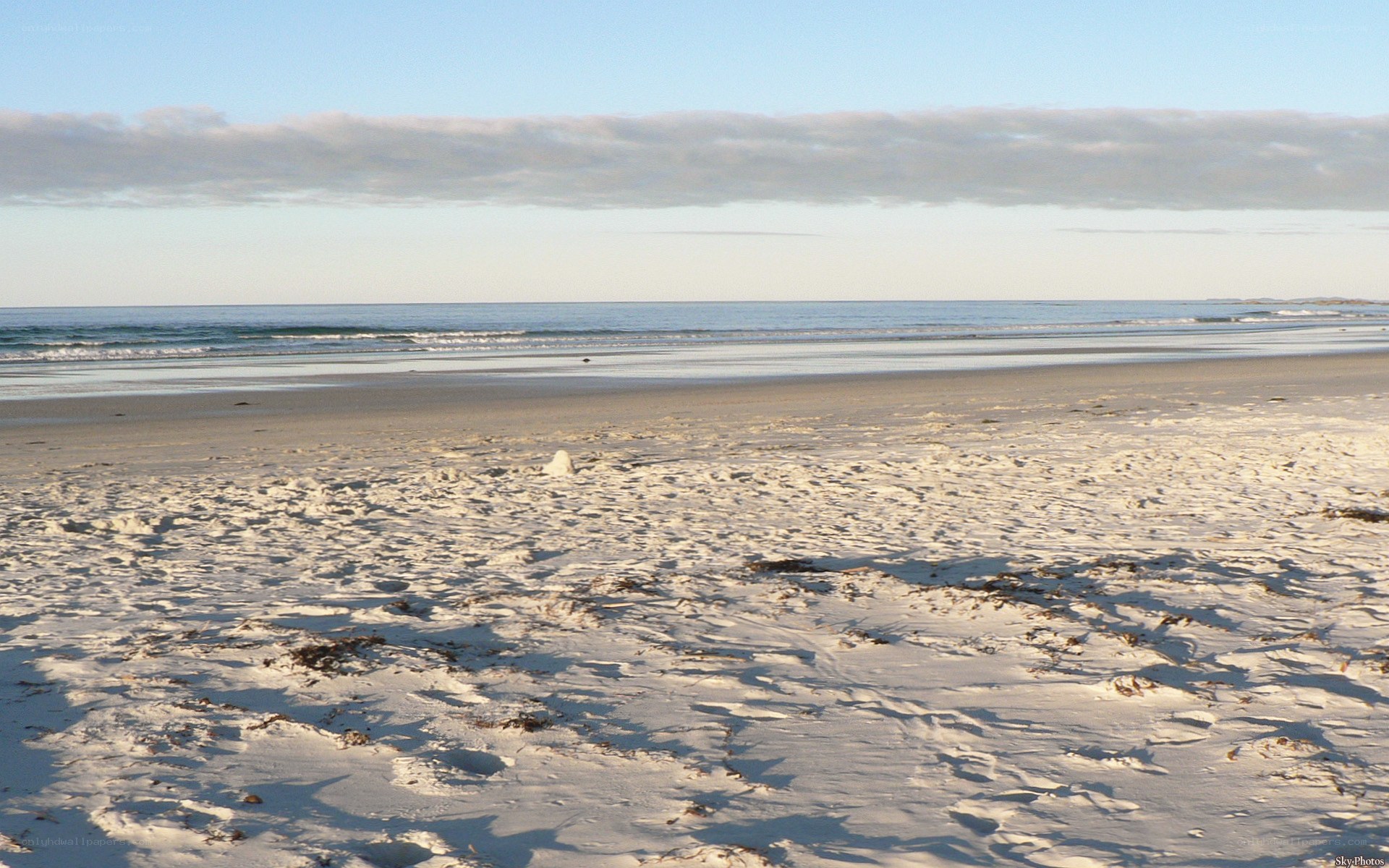 beach with snow and ocean