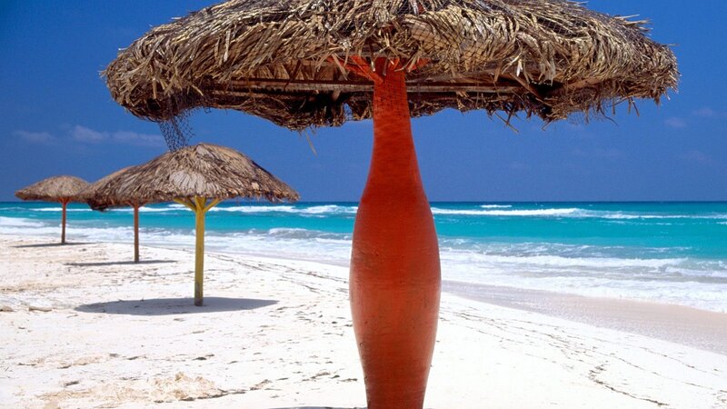 Beach with straw umbrellas