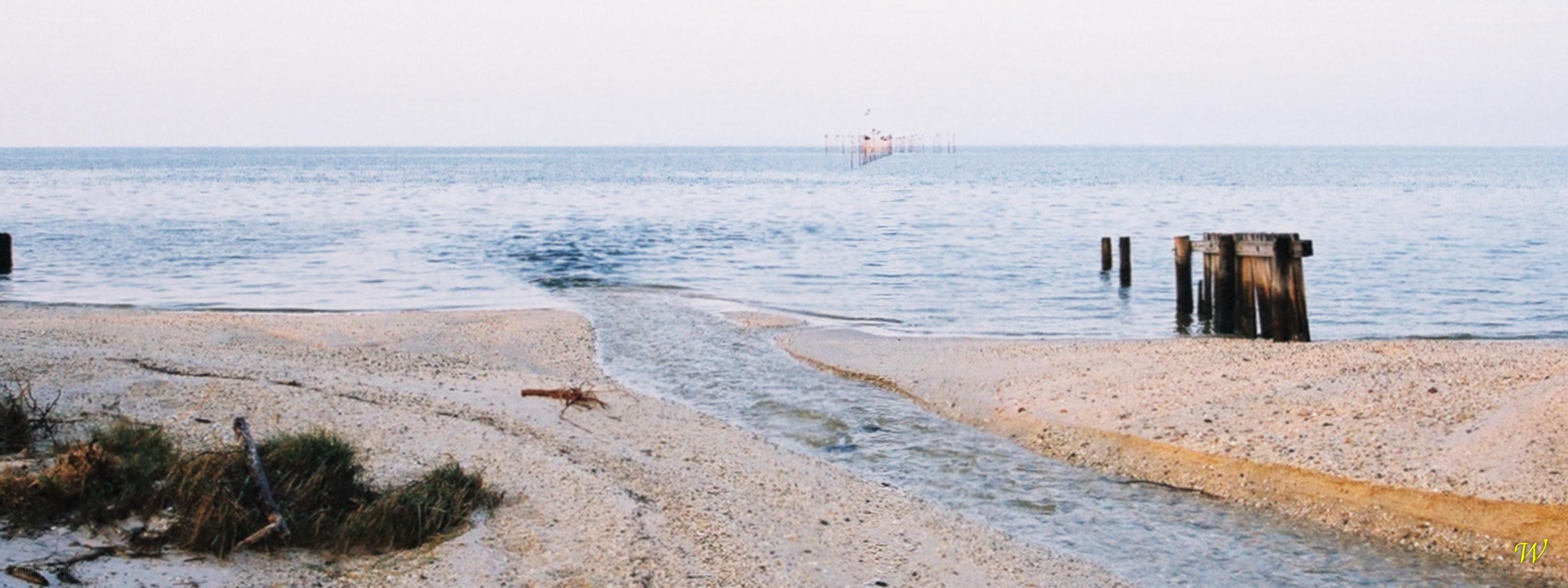 beach with stream and pier