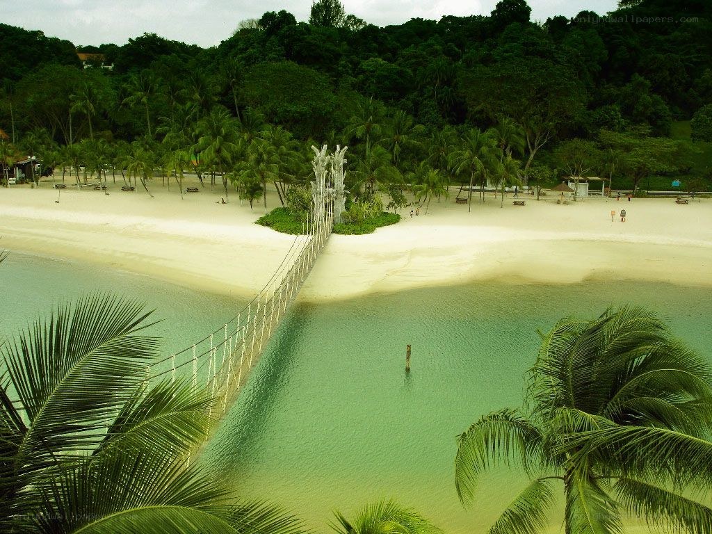 beach with suspension bridge