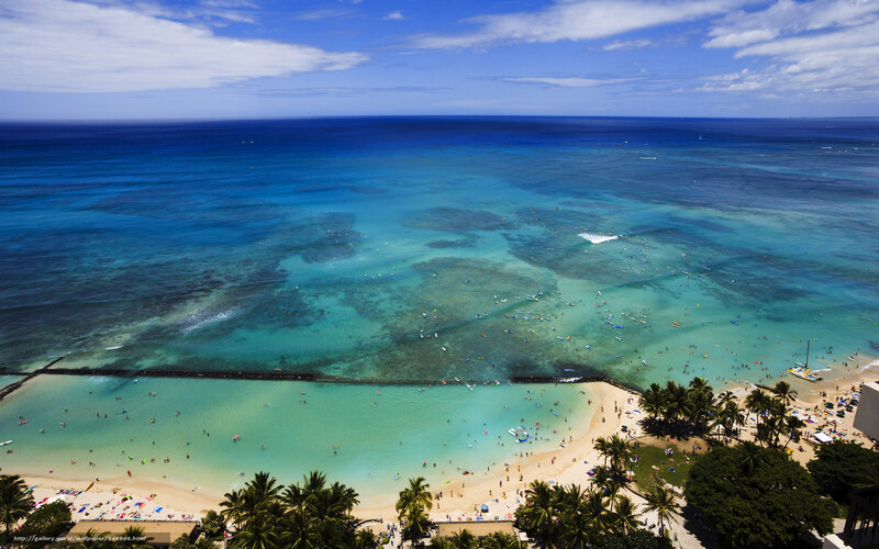 Beach with Swimmers — Blue, Serene, Afternoon
