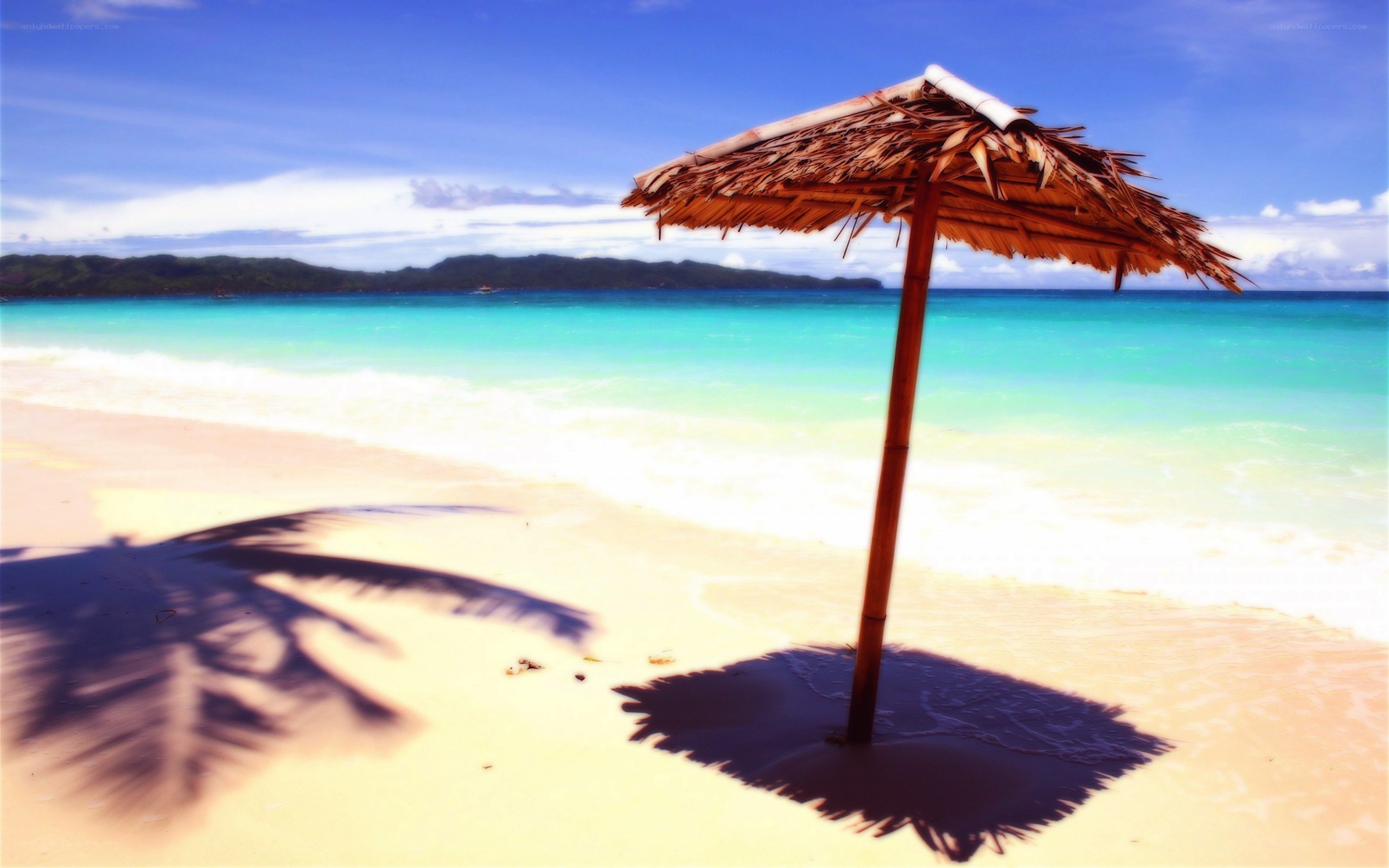 Beach with thatched umbrella