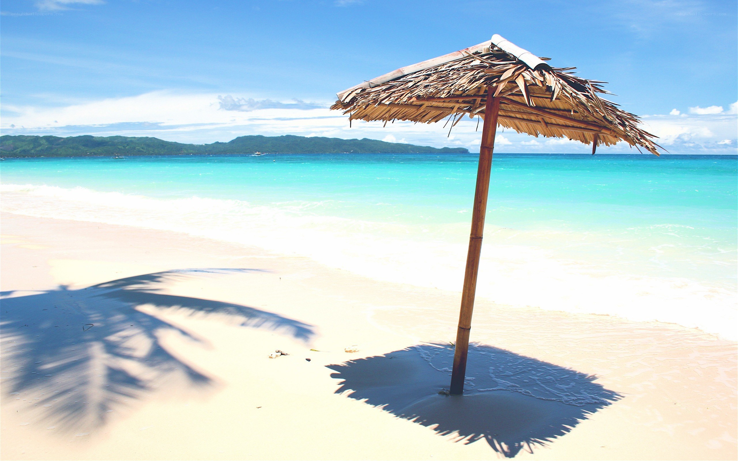 Beach with thatched umbrella