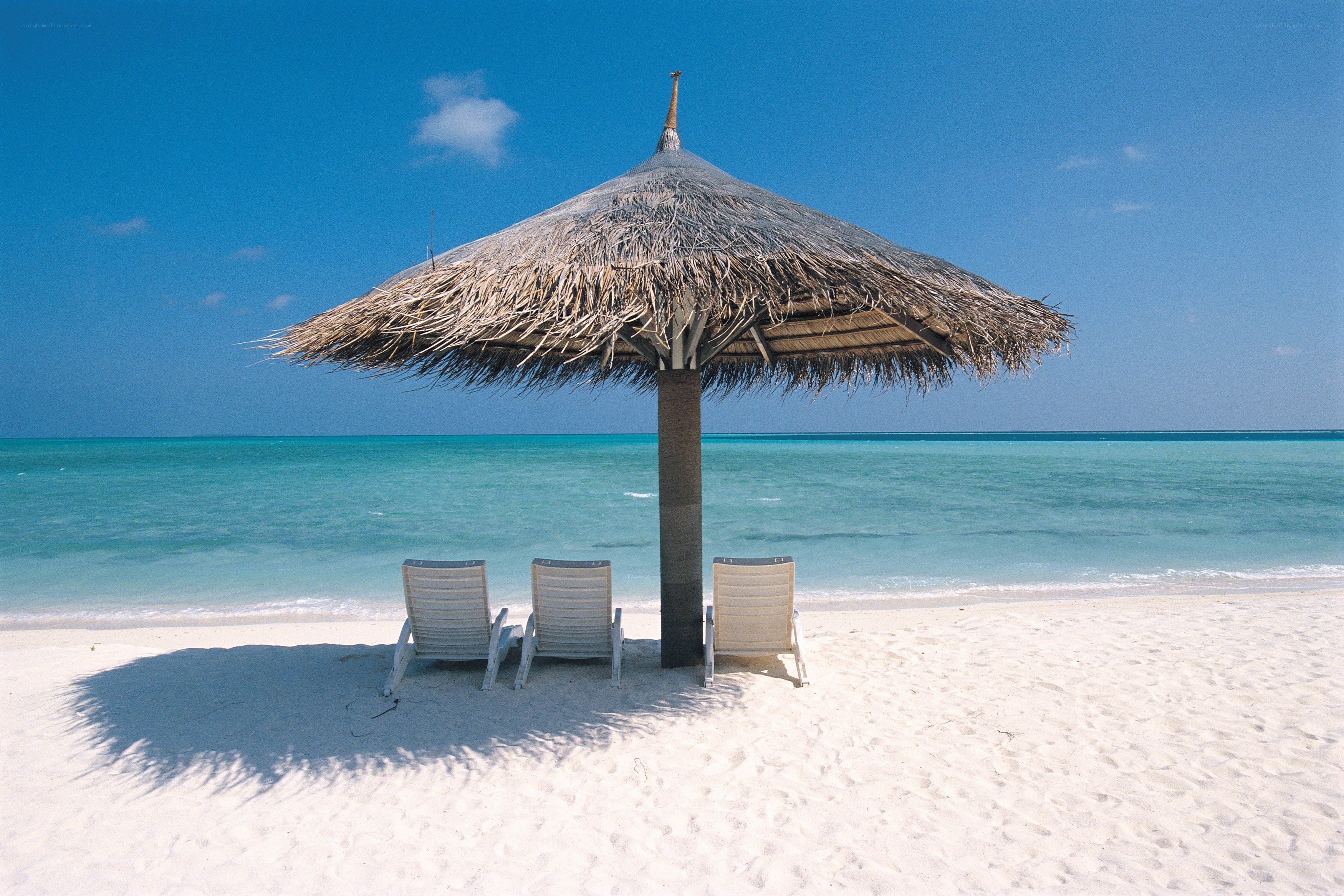 Beach with thatched umbrella