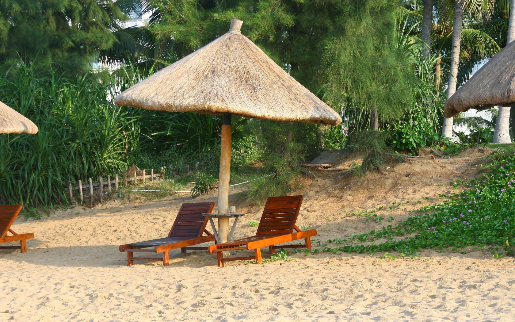 Beach with thatched umbrellas