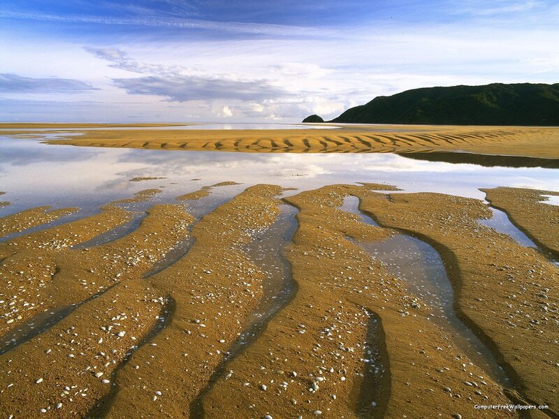 beach with tidal pools