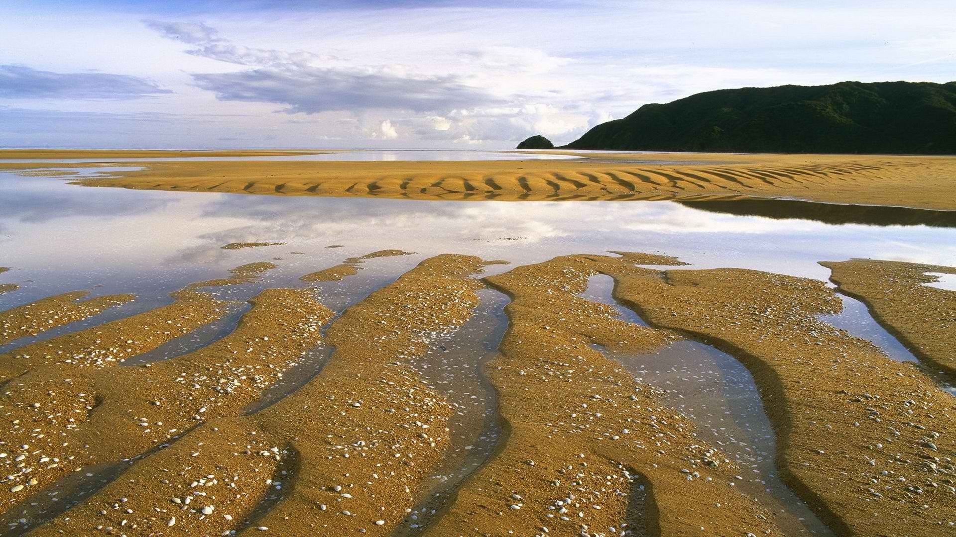 beach with tidal pools