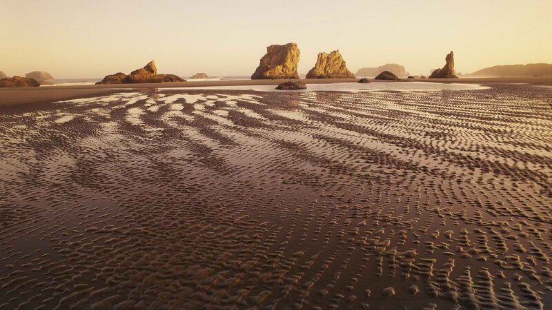 beach with tide patterns