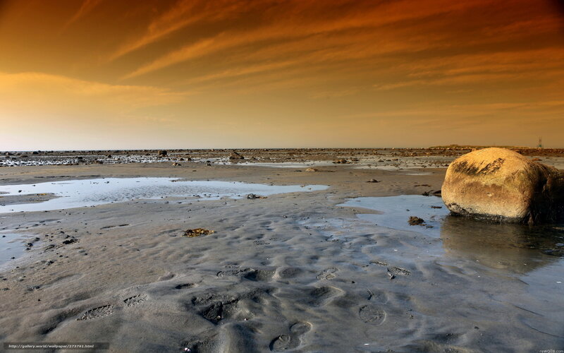 Beach with Tide Pools — Orange, Dramatic