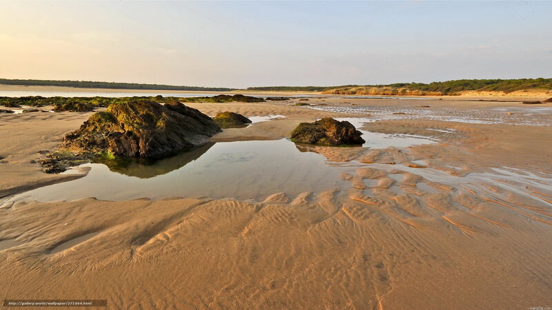 beach with tide pools