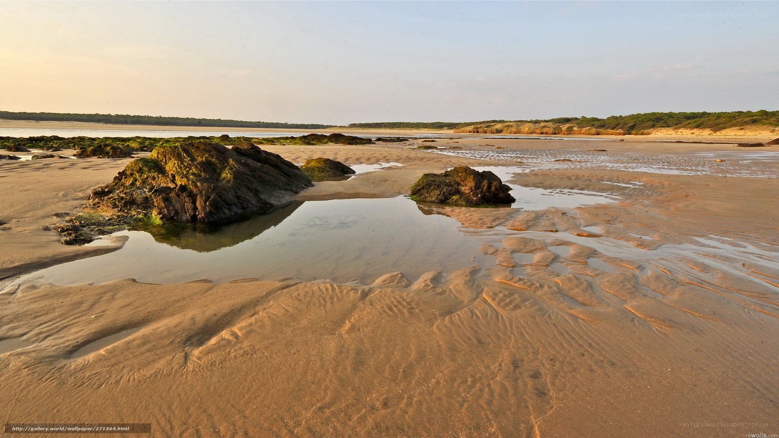 beach with tide pools
