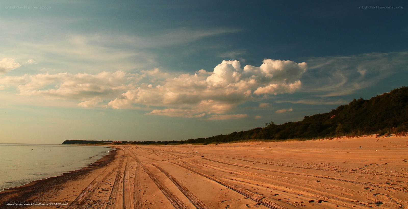 Beach with tire tracks at sunset