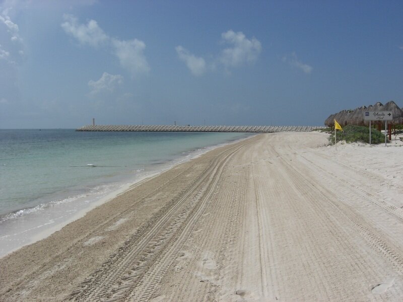 Beach with Tire Tracks — Blue