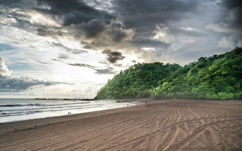 Beach with Tire Tracks — Brown