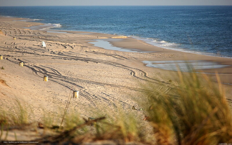 beach with tire tracks