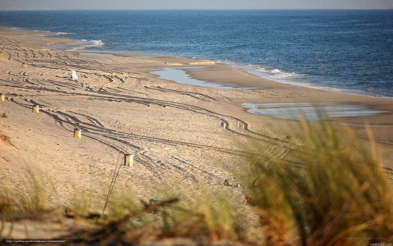 beach with tire tracks