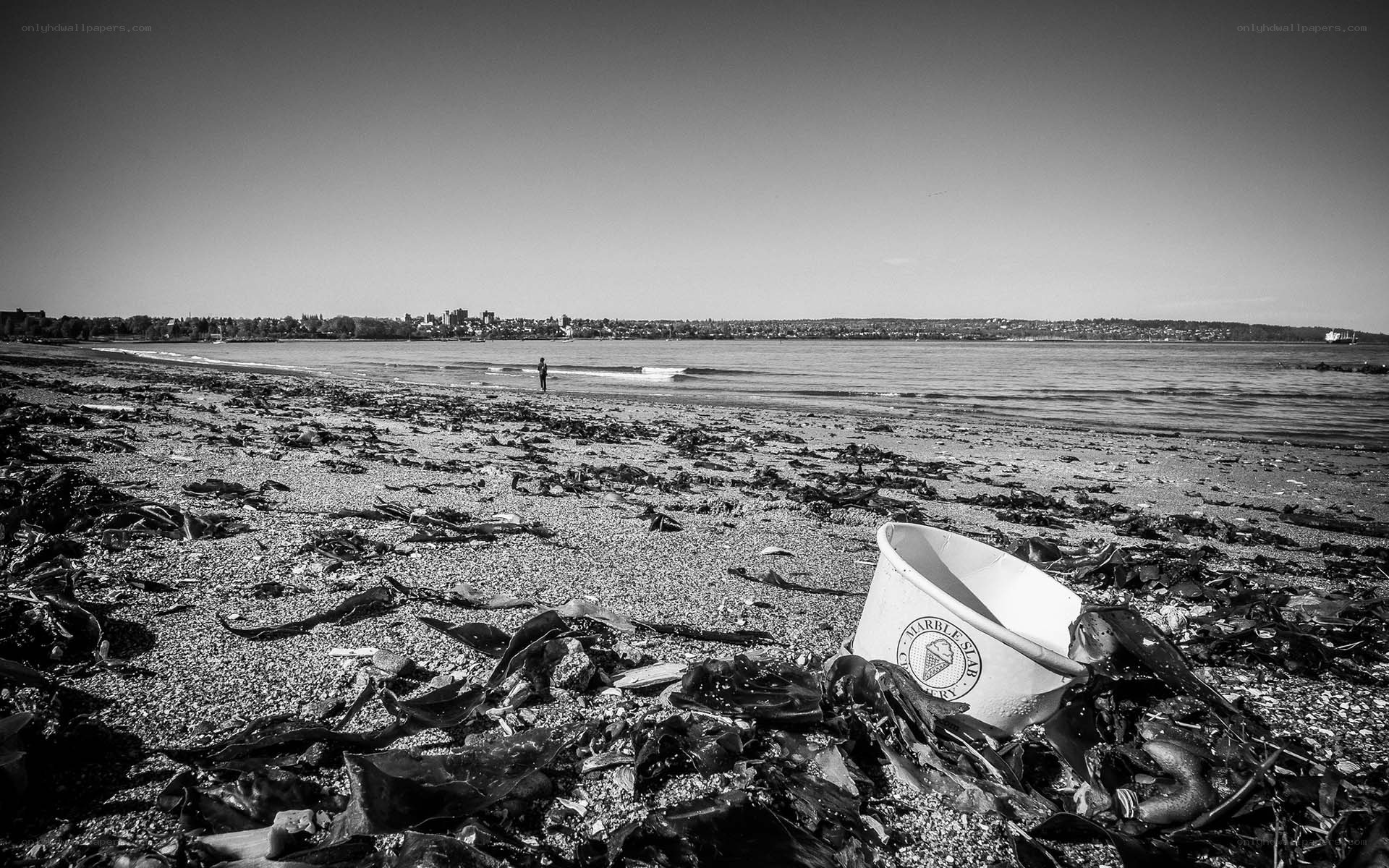 Beach with trash and city view