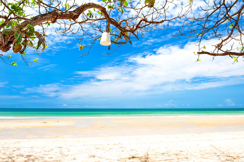 Beach with Tree Branch