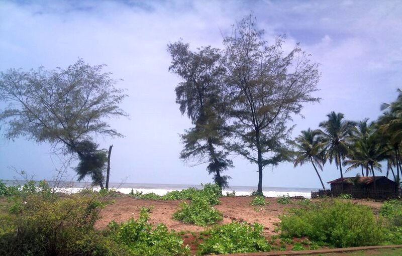 Beach with Trees and Hut