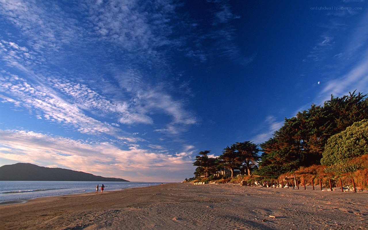 Beach with trees and mountains