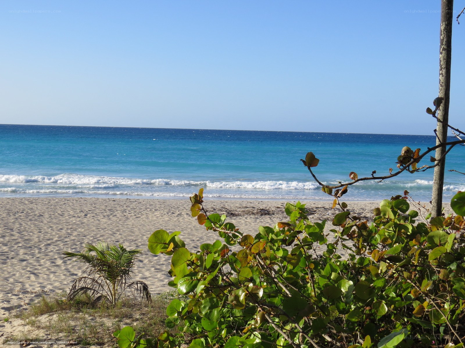 beach with turquoise water