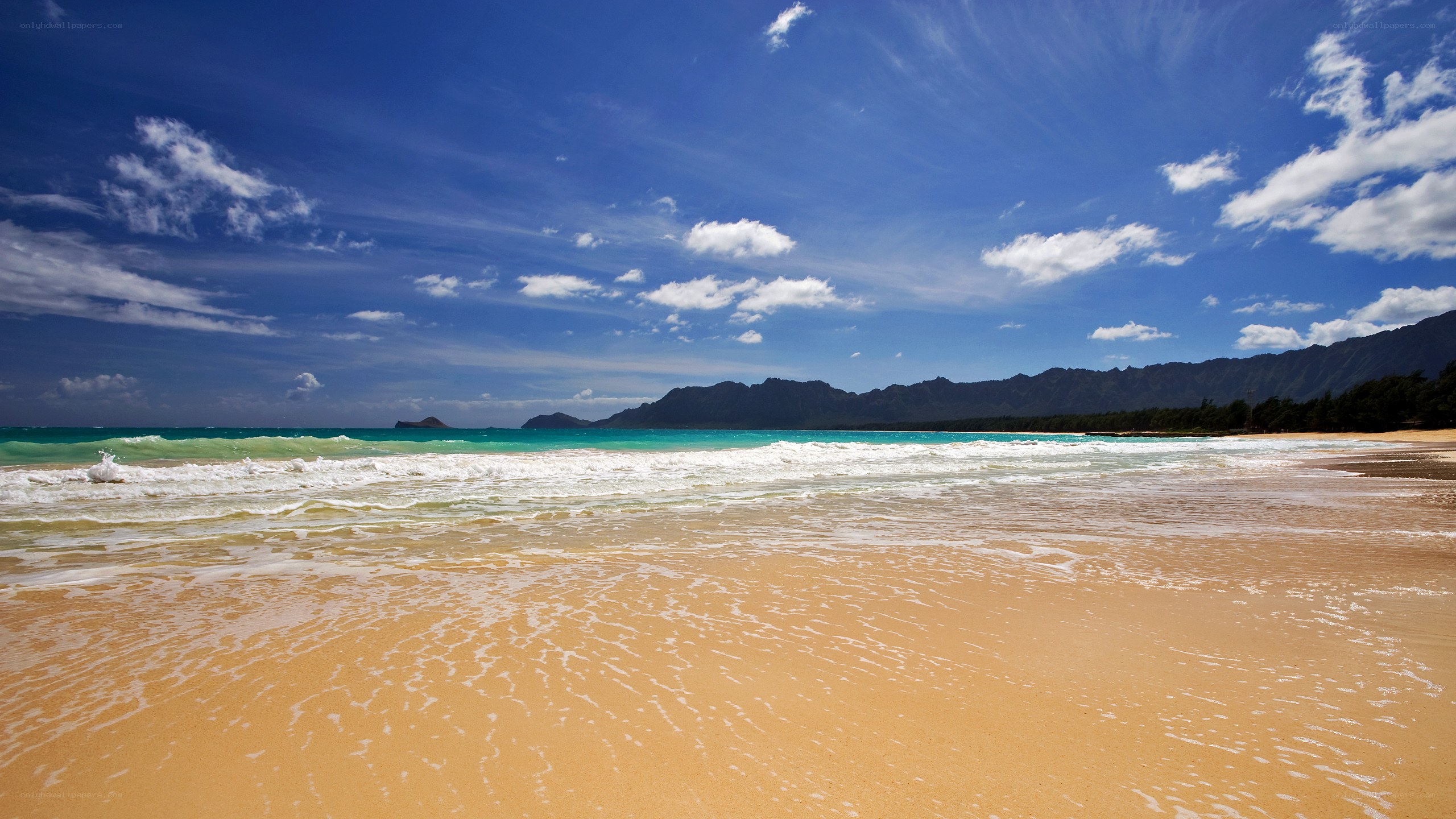 beach with turquoise water